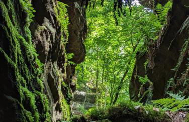 NaturflairHaus - Foto 18