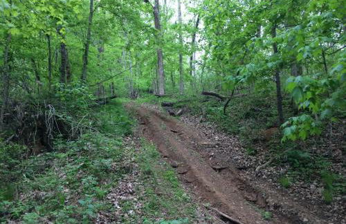 Brenda Lee History 2BR Villa Pool Hot Tub - Photo 75