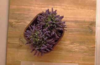 Terrazza vista mozzafiato lago Como - Foto 25