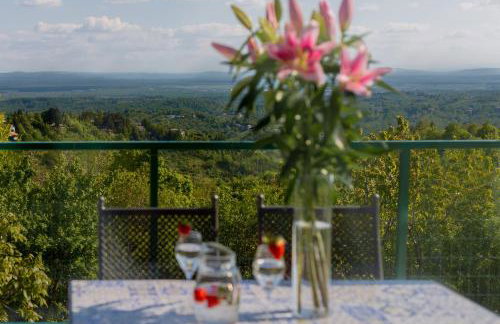 Villa Plešivica view - Infinity Pool & Private Spa - Photo 15