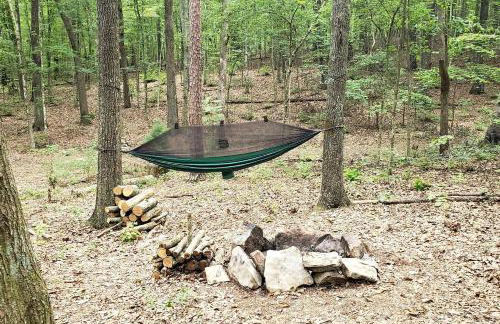 Dreamy Treehouse Cabin Oasis Near Piney River, Tennessee - Foto 5