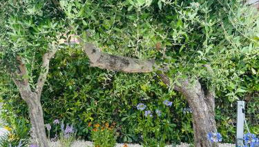 Appartamento Sole - Photo 5