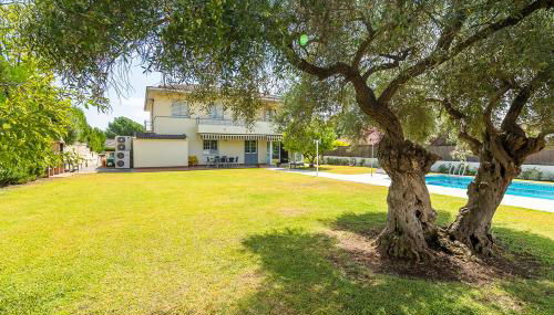 La casa del olivo en Córdoba - Photo 4