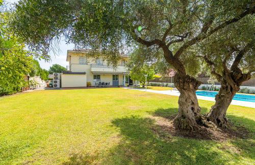 La casa del olivo en Córdoba - Photo 4