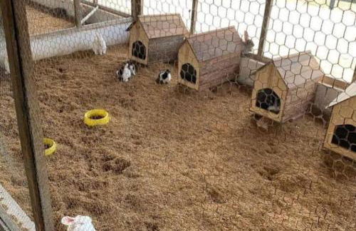 Flat para 6 pessoas no Condomínio Monte Castelo Mod 4 Flat 1B - Foto 27