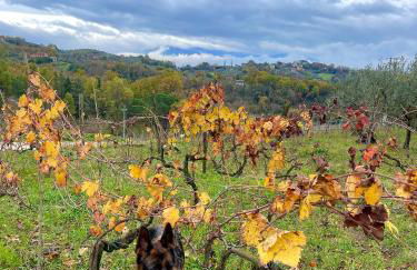 Donna Vittori - Borgo Agricolo - Foto 64