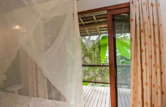 Eco Vila Taipu de Fora - Photo 39