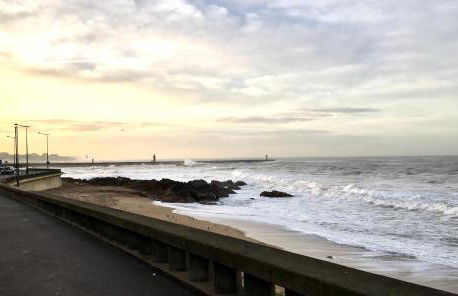 Estrelícia - Foto 31