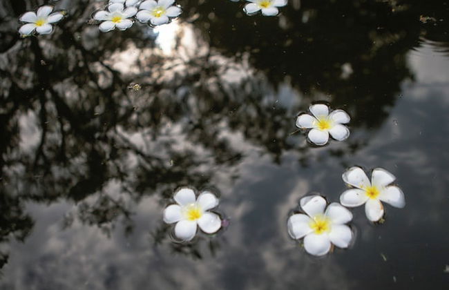 Langkawi Rouhi Retreats at Langkawi - Foto 48