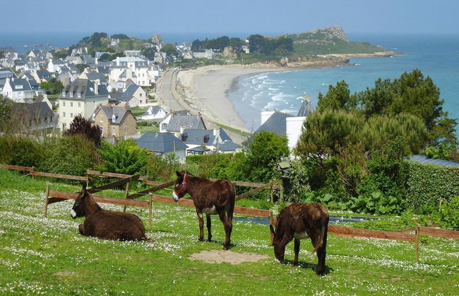 Stone House in Plougasnou Near Sandy Beach - Foto 35