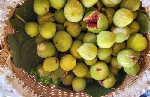 Holiday Home Stazzu lu Bulioni by Interhome - Foto 85