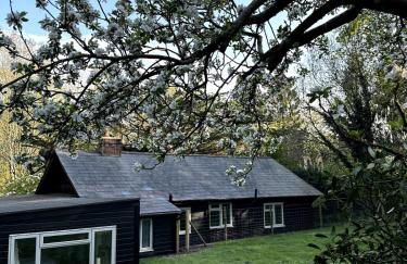 Tranquil home at Westerlands Farm, Sleeps 7, The South Downs - Foto 57