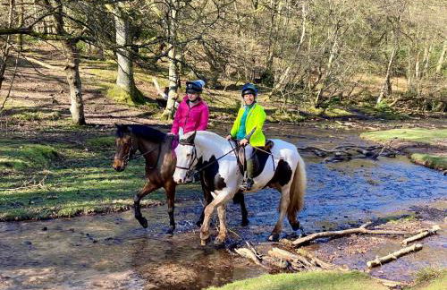 Pardlestone Farm – Self-Catering Cottages - Foto 65