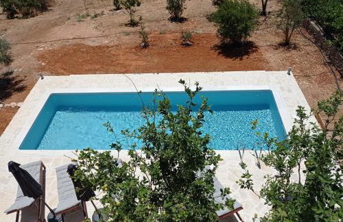 PALACE Mountain view - Foto 13