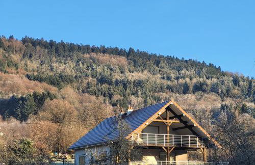 Location 12 personnes SPA pêche chez Mémère Hélène - Foto 4