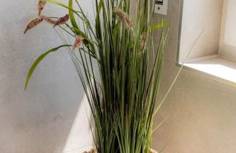 Apartment Come4Stay Altötting - Zentrale Lage - Balkon by Interhome - Foto 6