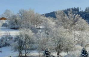 Ferienhaus am Rosengärtle - Black Forest - Forêt Noire - Foto 30