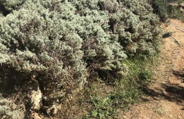 L'Olivier Fleurie Barjols - Foto 58