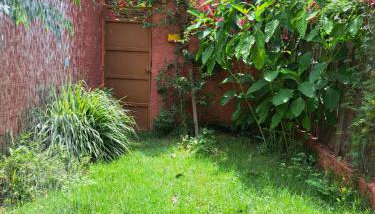 Chalé confortável em Alter do Chão - Foto 1, Garden, Garden view