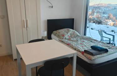 Siegen - Geisweid Work and stay Neu Modernisiert 2 Schlafzimmer Badezimmer Balkon - Foto 45