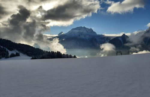 Fronwieshof - Foto 18