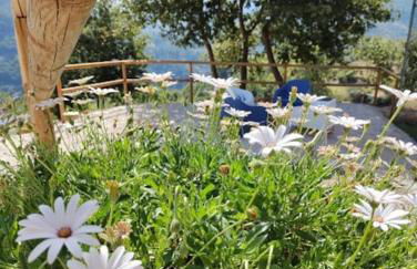 A Casa da Japoneira CB - Foto 50