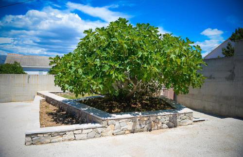 Apartment Markioli - Photo 62