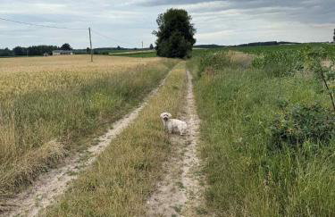 W Tarczynach - mazurski dom z widokiem na jezioro - Foto 28