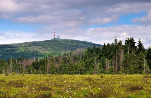Gästehaus Nietmann_ Ferienwohnung 7 - Foto 17