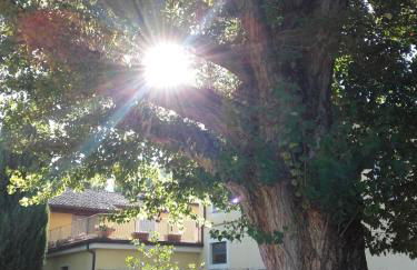 Agriturismo Il Mulino del Vescovo - Foto 31