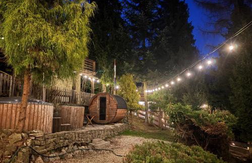 Willa Żarnówka - Foto 47