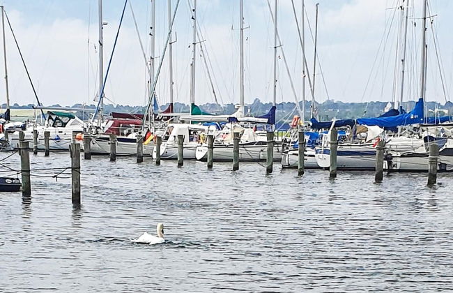 8 Person Holiday Home in Egernsund - Photo 34