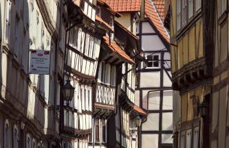 Froschkönig mit Teichblick - Photo 37