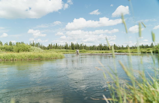 Bar N Ranch - Photo 55