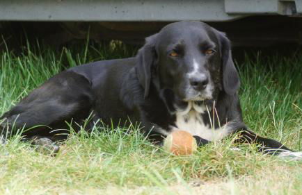 La Vache Tennis Privé - Foto 13