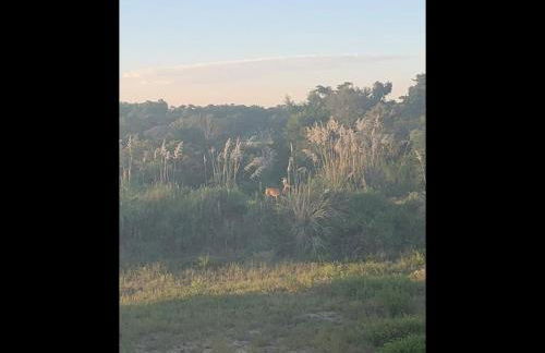 Plan Beach home - Foto 38