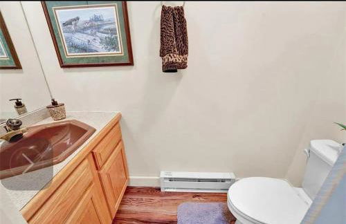 Waterfront Mountain Fun-Jack Frost Walk On Whole House - Foto 6