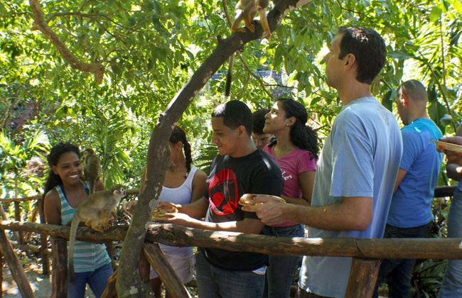 Ziplining in Monkeyland - Foto 6