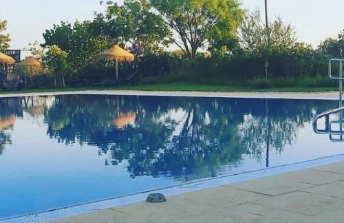 Monte das Palmeiras - Foto 4