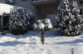 Hotel-Apartments La Strada - Foto 125