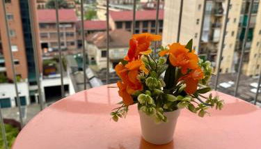 La Coccinella Turin apartment - Foto 2