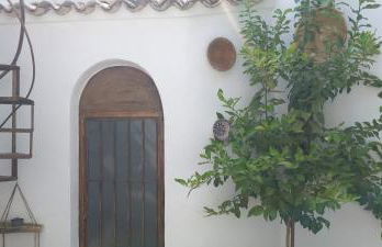 EL RINCON DEL ROMERAL - Foto 2