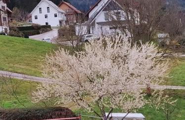 Ferienwohnung, Sauna & Gästekarte gratis im Schwarzwald - Photo 26