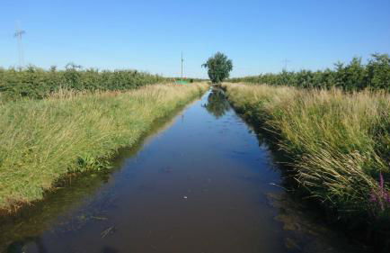Ferienwohnung auf dem Bio Obsthof - Photo 11