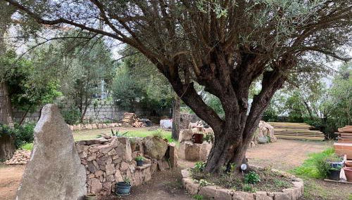 Villa vue mer à 5 minutes à pied du centre ville de Porto-Vecchio - Foto 4