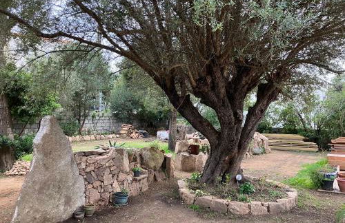 Villa vue mer à 5 minutes à pied du centre ville de Porto-Vecchio - Foto 4