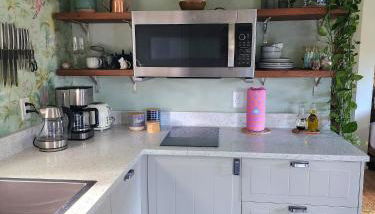 LUSH TROPICAL STUDIO in FT LAUDEDALE'S HISTORICAL SAILBOAT BEND NEIGHBORHOOD - Foto 3