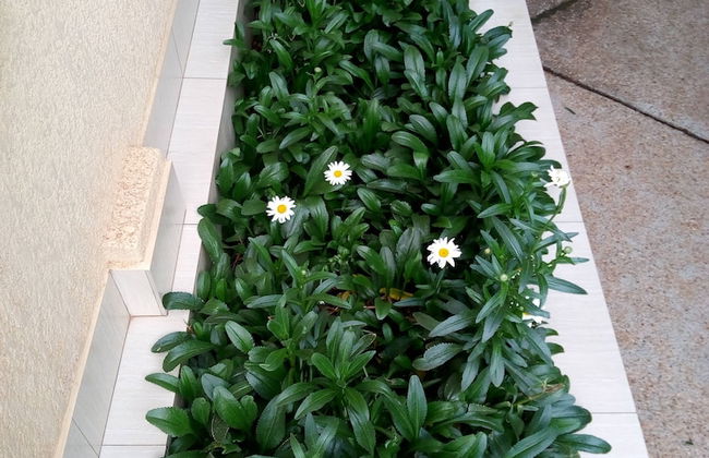 Rohi Apartments - Foto 43