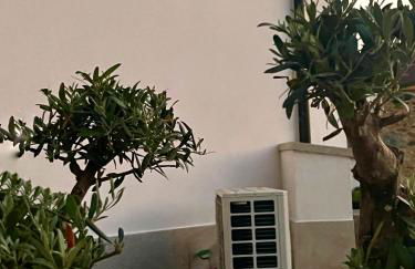 AMC Boente - Foto 63