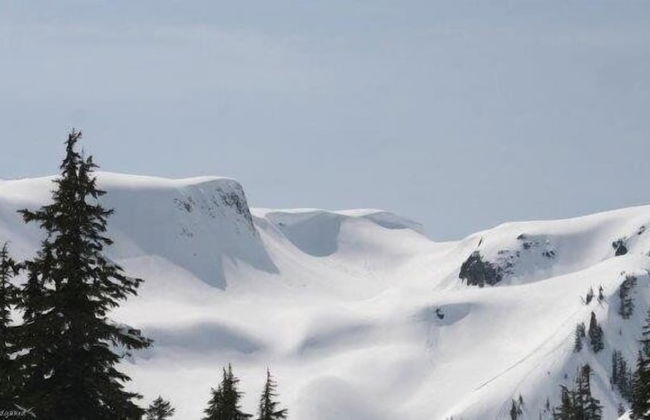 32MBR - BBQ - Pets Ok - Wood Stove - Sleeps 7 - Foto 20